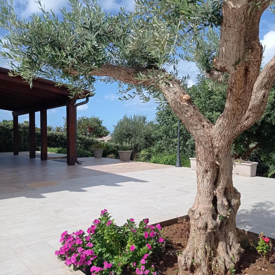 Villa Dei Colori Custonaci Bagian luar foto